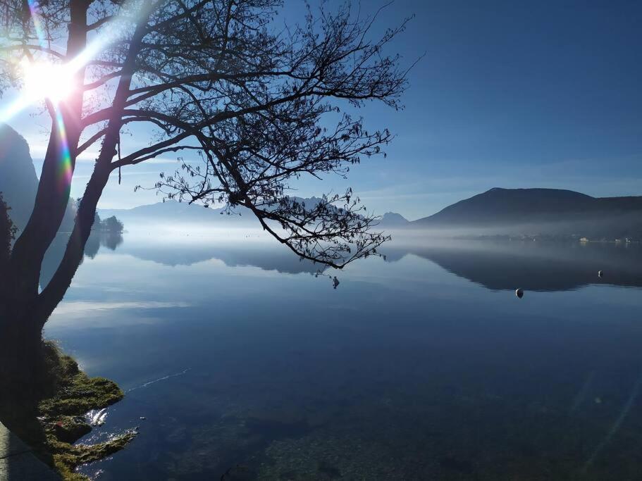 Cabana & Le Central - Proche Lac , Terrasse Et Parking Annecy Eksteriør bilde